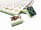 Forest Fern Mahjong Set