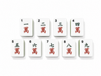 Forest Fern Mahjong Set