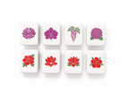 Rainbow Gem Mahjong Set